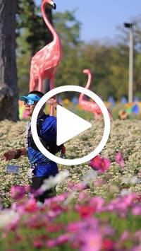 BIB:  <button type="button" onclick="openModal(27588556)" class="btn btn-primary btn-sm float-right" data-toggle="modal" data-target=".modal-high-quality">
                <i class="fa fa-download"></i> Download
                </button>